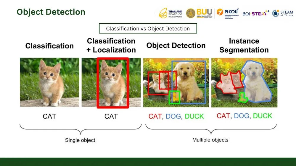เปรียบเทียบ Classification Object Detection และ Instance Segmentation